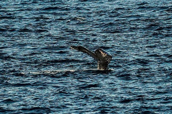 Baja_647_011122
