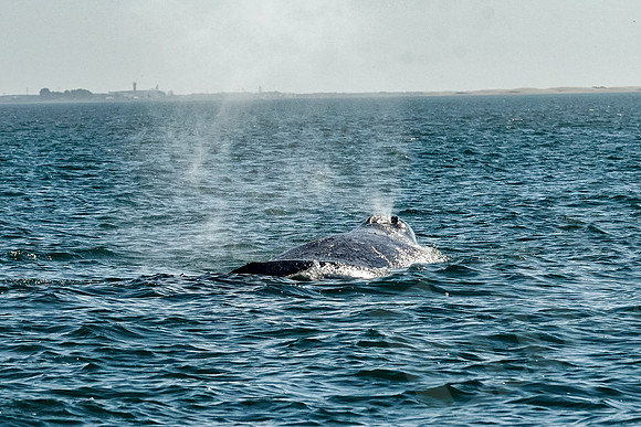 Baja_917_011322