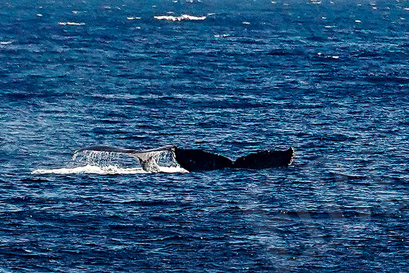 Baja_601_011122