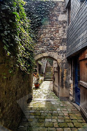 FranceNo_504_071024
