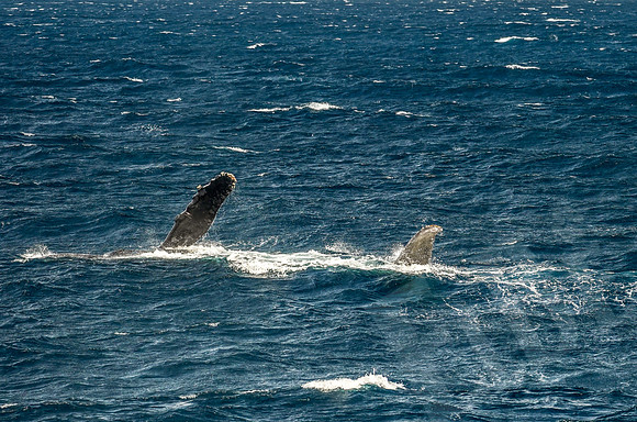 Baja_296_011122