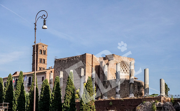 ItalyRome_258_091315